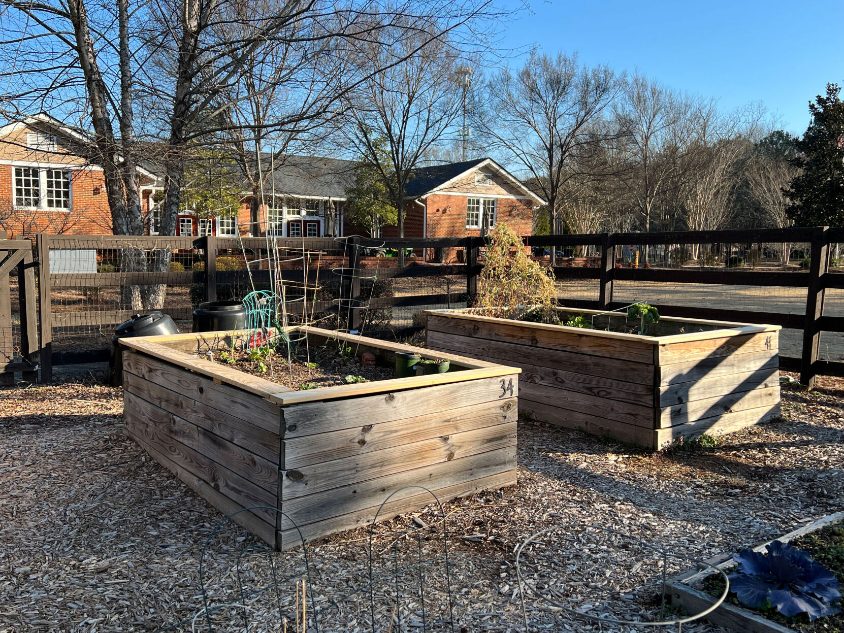 Newtown Park community garden